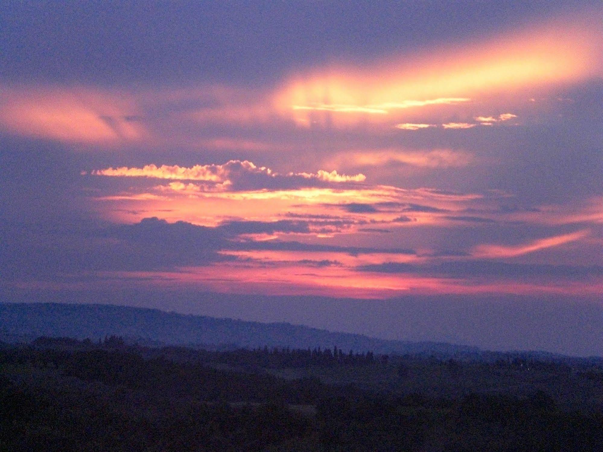 Agriturismo Il Girasole San Gimignano Bagian luar foto